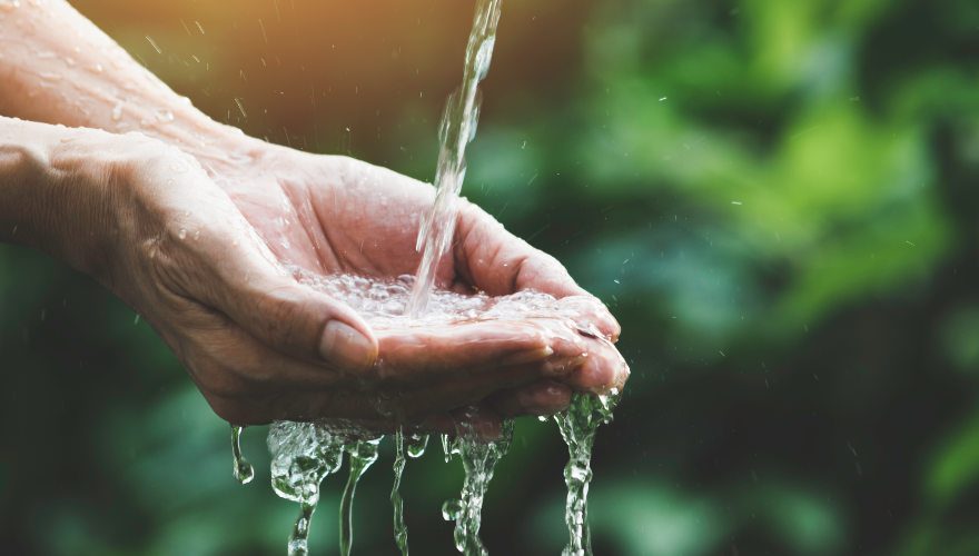 Cuidado del agua ante la ola de calor