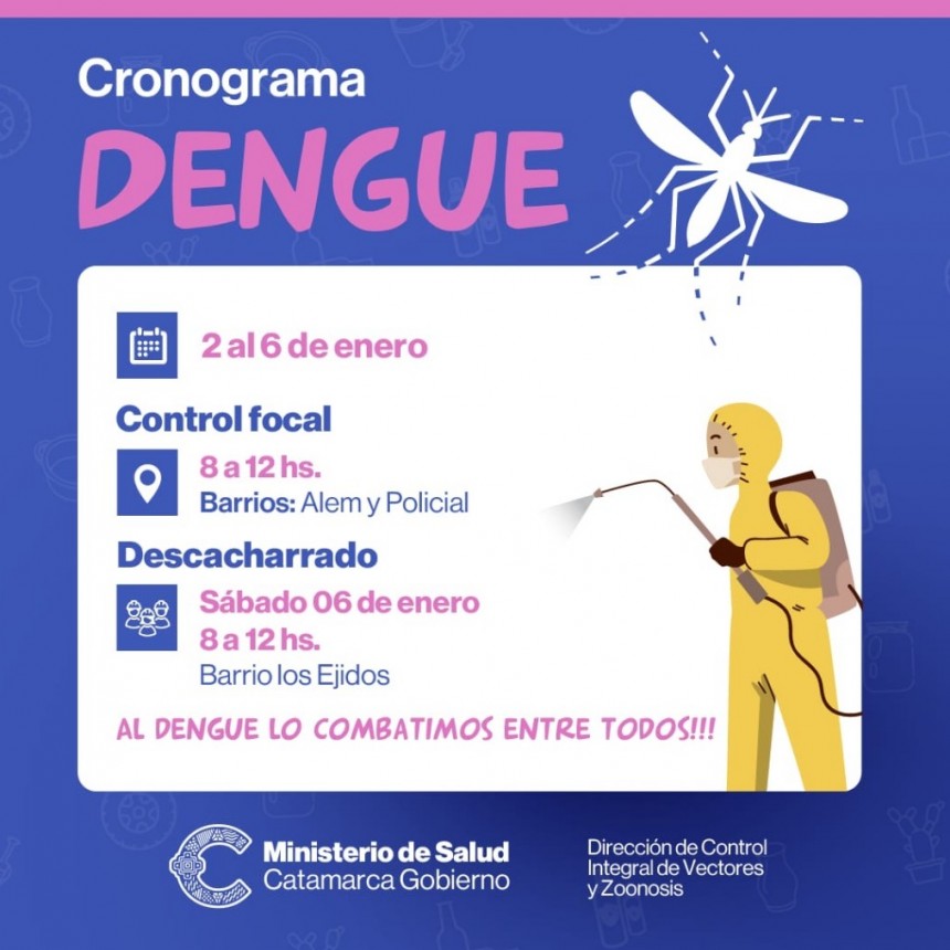 Dengue: cronograma de prevención para la primera semana del año