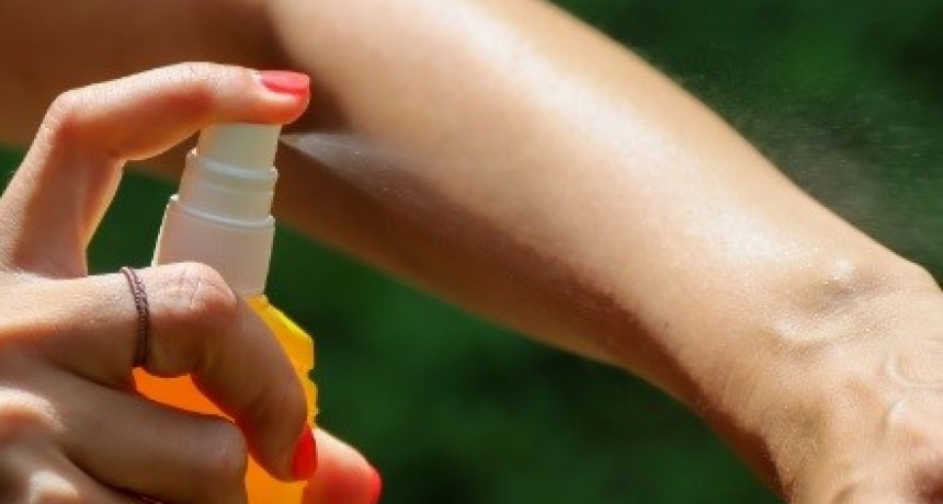 Producen su propio repelente para combatir la plaga de mosquitos