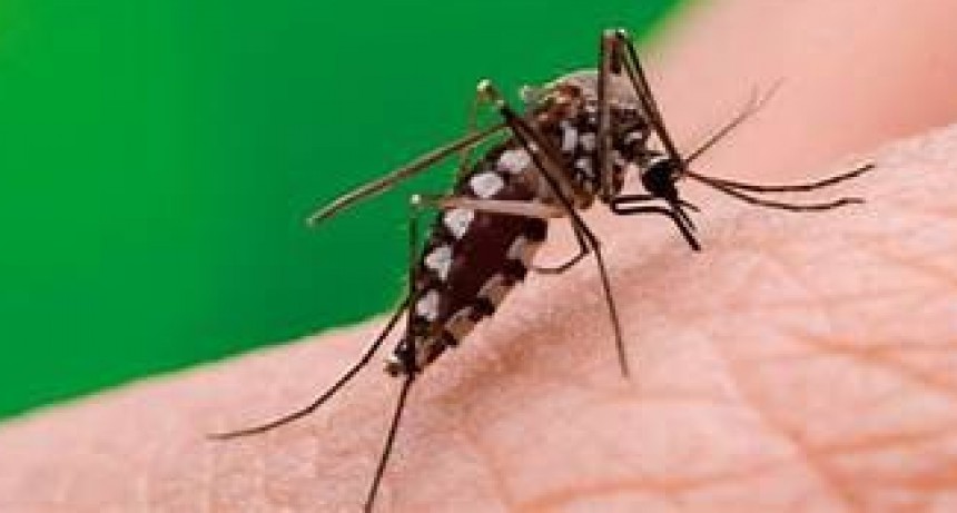 Se detectaron dos nuevos casos de Dengue en Catamarca