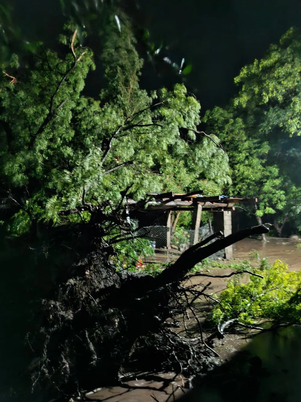 Valle Central bajo fuerte tormenta: lluvias, cortes y daños en infraestructura