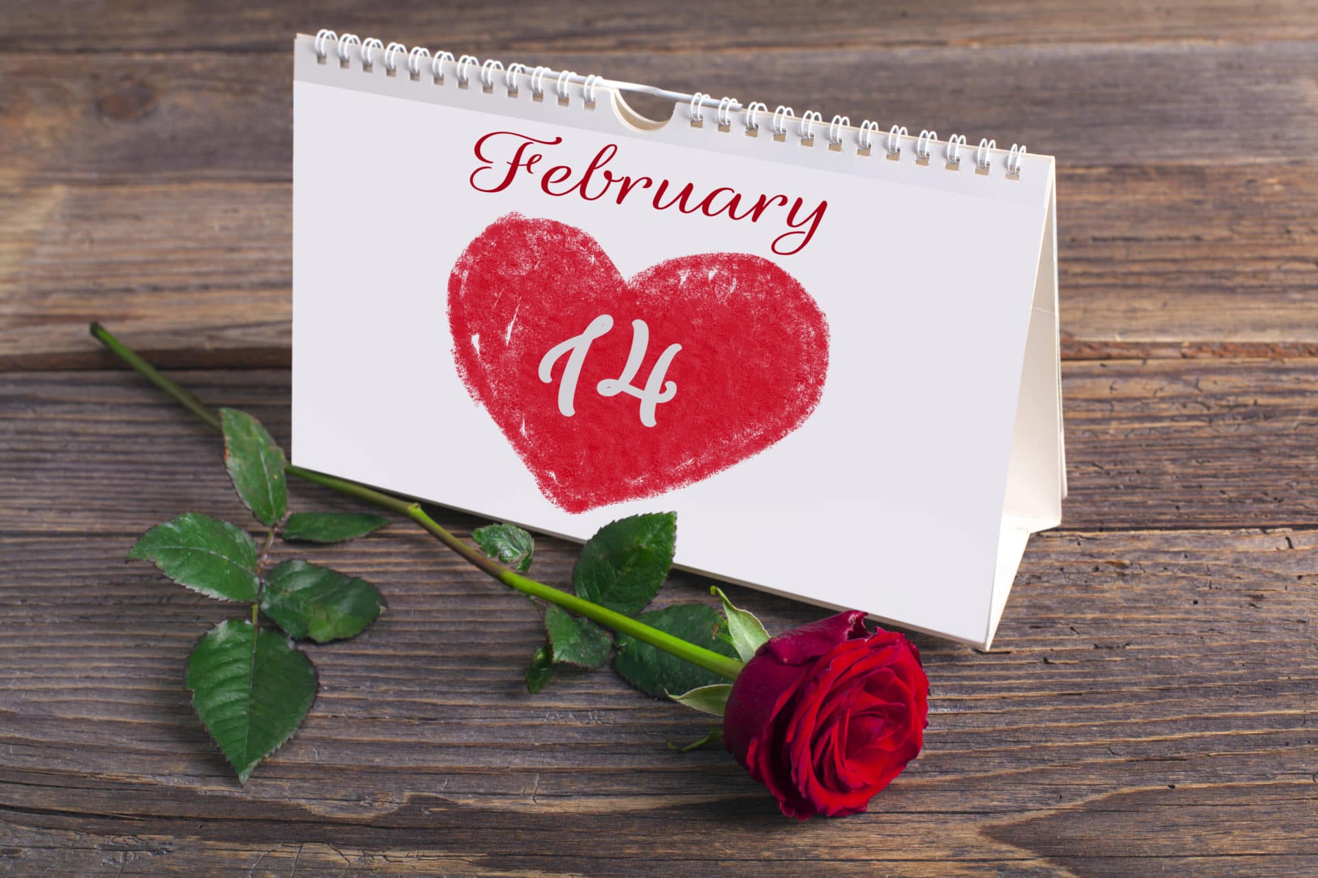 TODO LO QUE TENES QUE SABER DEL 14 DE FEBRERO 