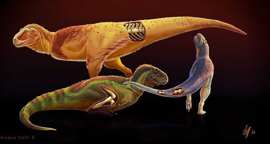 Descubren enfermedades en dinosaurios depredadores que vivieron en la Patagonia