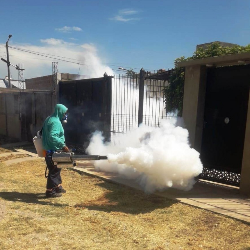 Salud continúa trabajando en las medidas de prevención de Dengue
