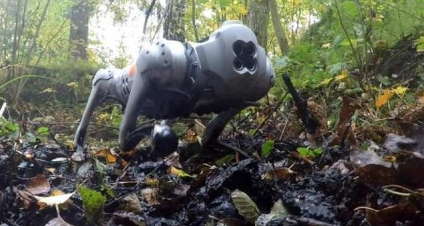 Robots con pies como los del alce para cruzar terrenos resbaladizos
