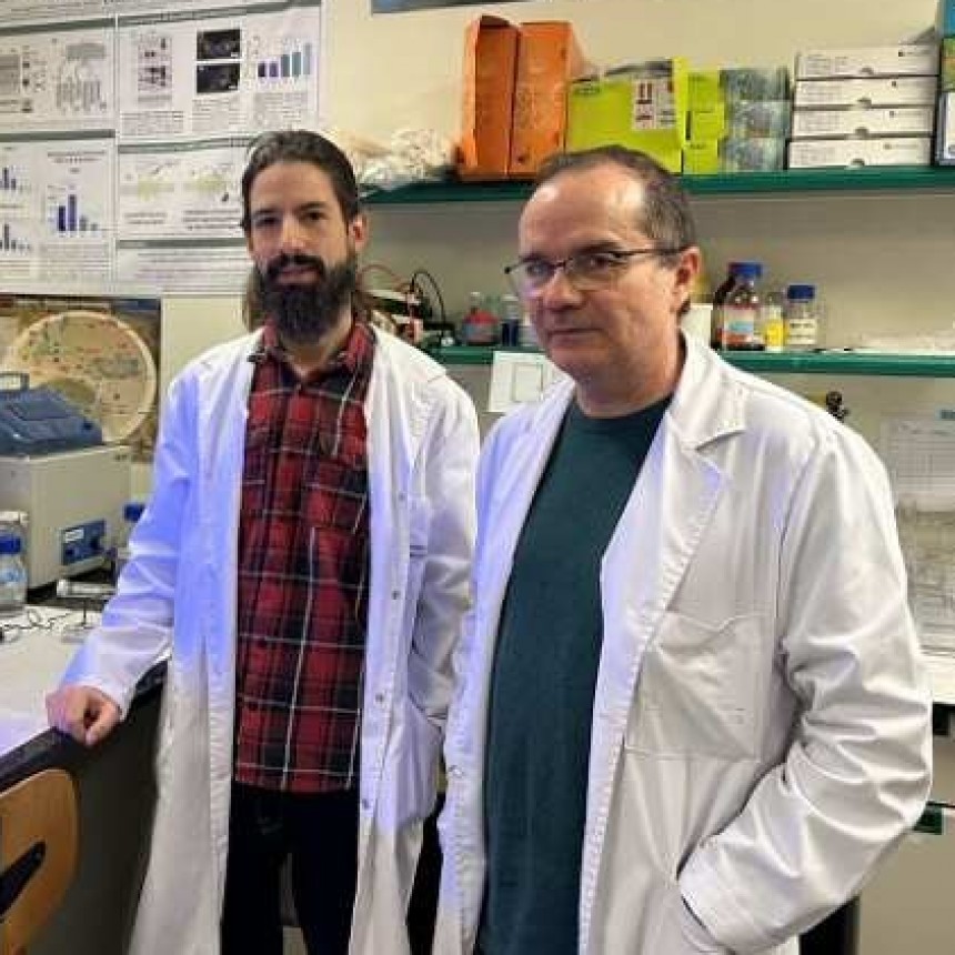 Fármaco activado por luz para combatir la psoriasis
