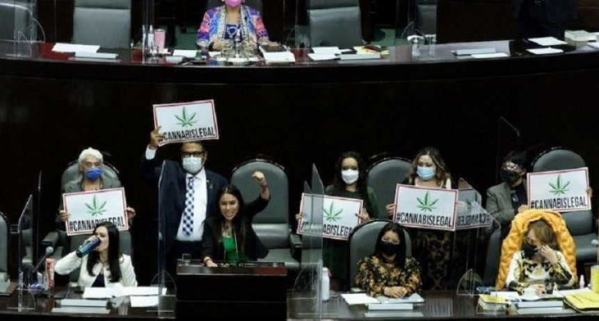 MEXICO AUTORIZO EL CONSUMO DE LA MARIHUANA