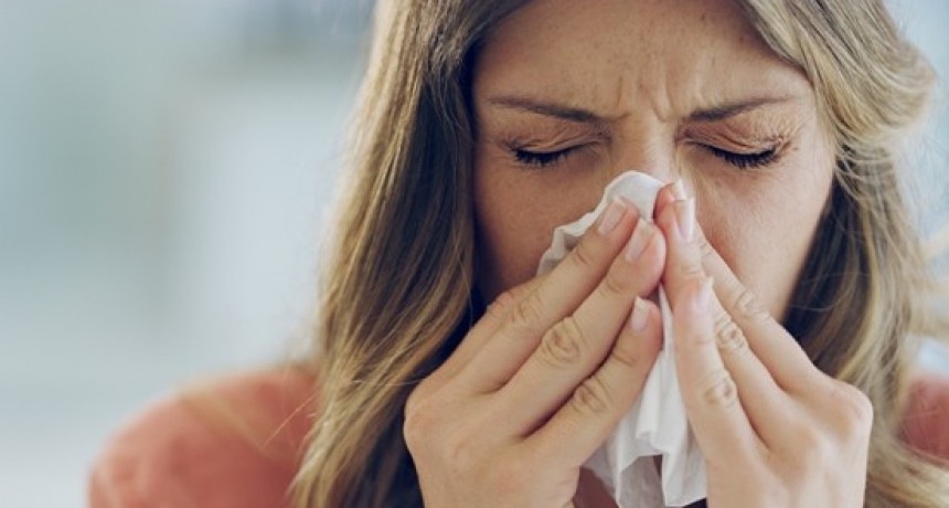UN RESFRIÓ COMÚN PUEDE BLOQUEAR AL CORONAVIRUS