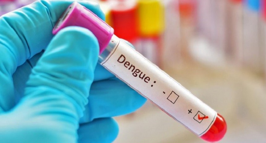 Salud confirmó cuatro nuevos casos importados de dengue