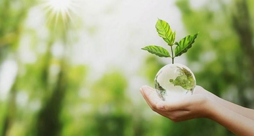 Día del Consumo Responsable: ¿por qué se celebra el 15 de marzo y cómo colaborar con el medio ambiente?