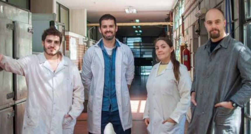 Desarrollan nanopartículas para reducir la inflamación crónica del hígado