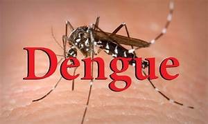Municipales de la Capital tendrán licencia especial por dengue