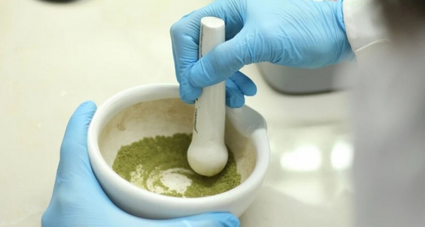 Ciencia: Trabajan en la creación de una salsa de tomate con propiedades antitumorales