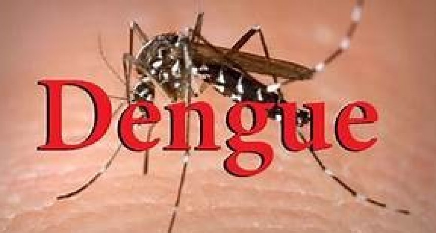 Municipales de la Capital tendrán licencia especial por dengue