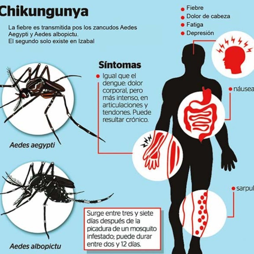 Catamarca registra el primer caso confirmado de chikungunya y refuerza medidas sanitarias