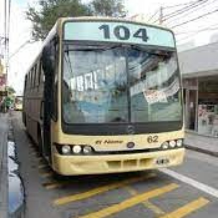 HOY NO CIRCULAN LOS COLECTIVOS