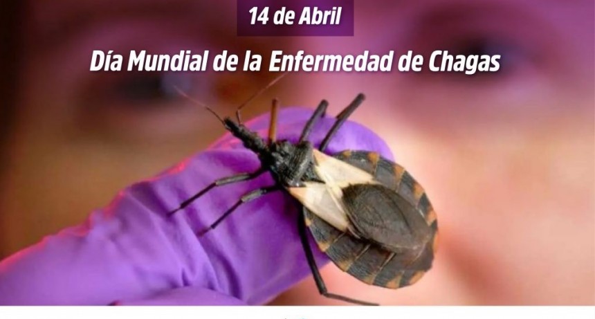 Día Mundial de la Enfermedad de Chagas: por qué es el 14 de abril