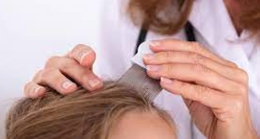 Pediculosis: El Ministerio de Salud brinda recomendaciones preventivas