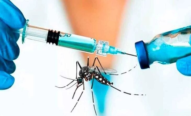 Catamarca estudia la compra de vacunas contra el dengue