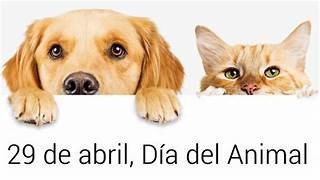 Día del Animal en Argentina: por qué se celebra el 29 de abril