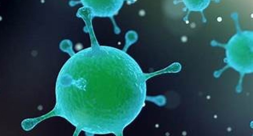 Wolbachia: el método innovador con el que Colombia eliminó al dengue