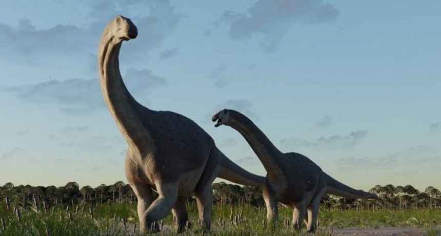 Descubren un titanosaurio que vivió hace 66 millones de años en Chubut