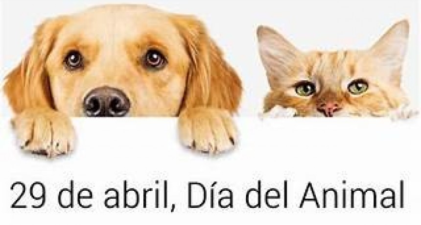 Día del Animal en Argentina: por qué se celebra el 29 de abril
