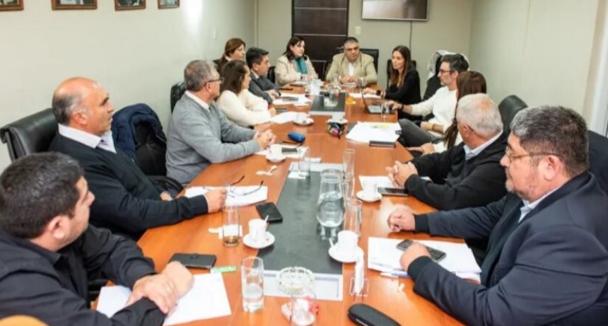 Avanza el tratamiento de la Emergencia económica en la Cámara de Senadores