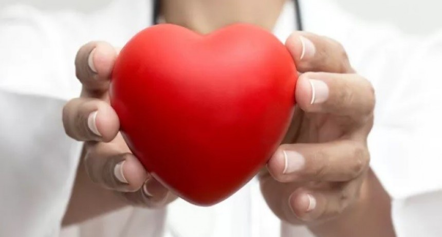 Se celebra el Día Nacional de la Donación de Órganos