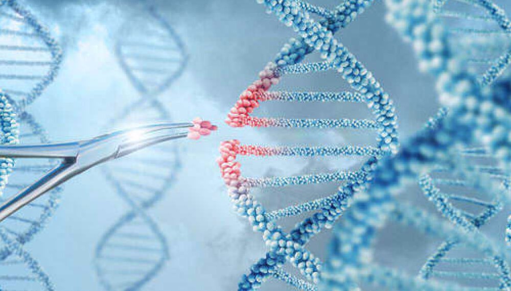 Descubren genes claves del Trastorno Obsesivo-Compulsivo”