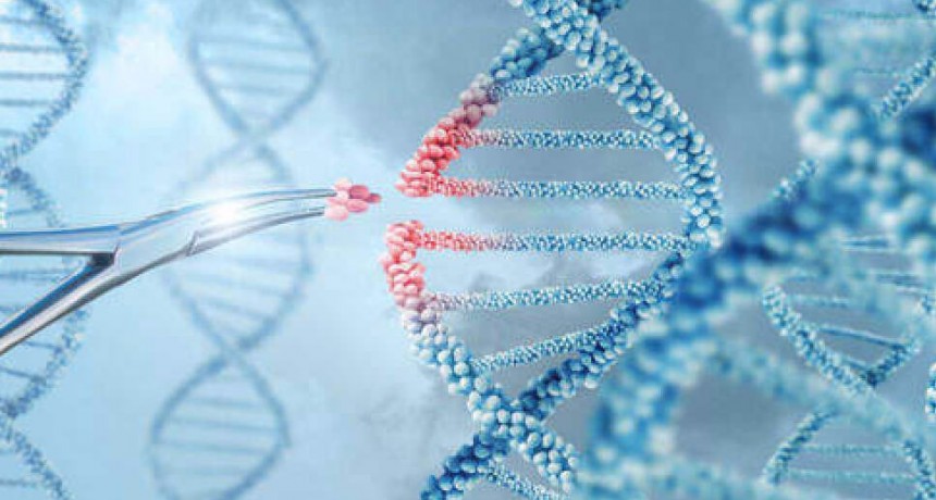 Descubren genes claves del Trastorno Obsesivo-Compulsivo”
