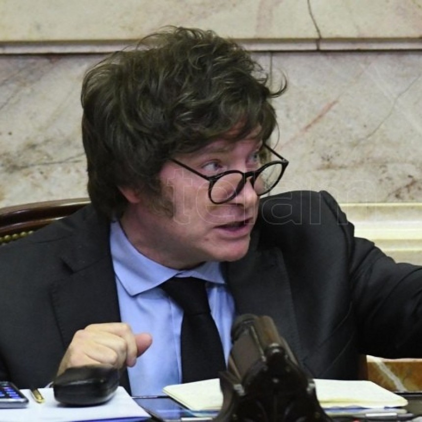 MILEI TRATO DE INUTILES A LOS RADICALES