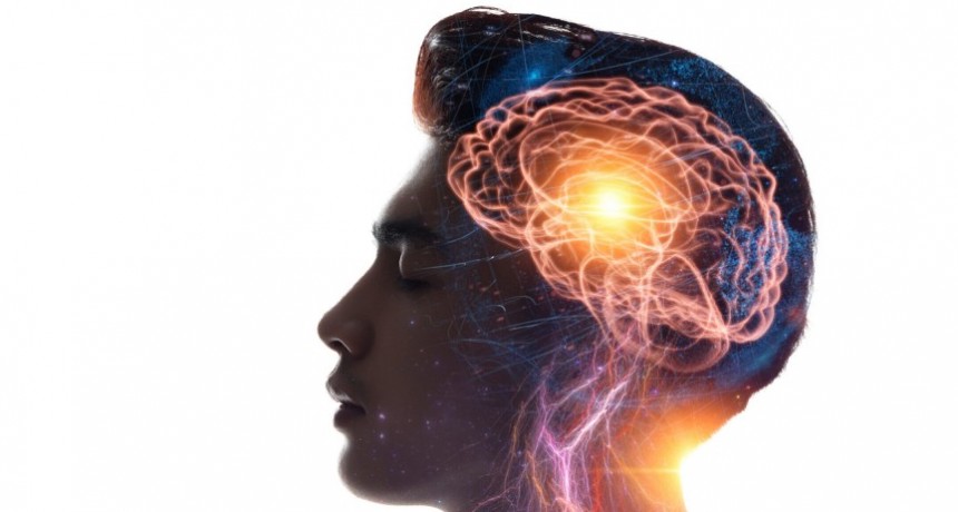 Revelan cuál es la mejor vitamina para mantener el cerebro sano