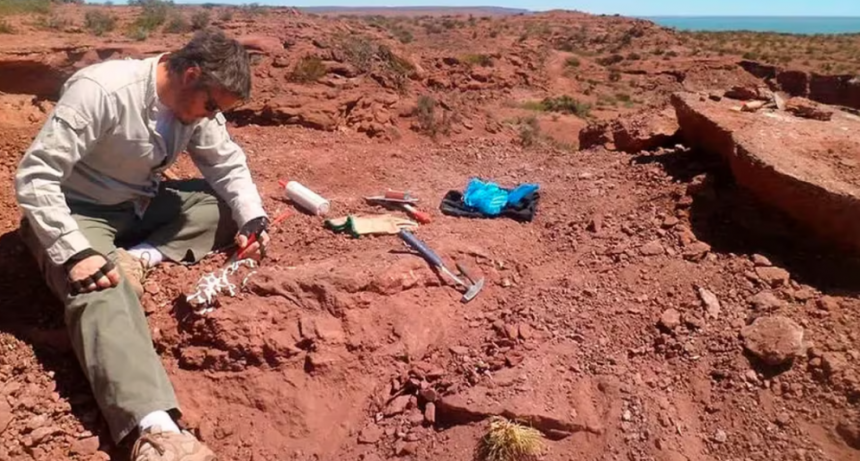 Descubrieron un nuevo dinosaurio emparentado con las aves en la Patagonia