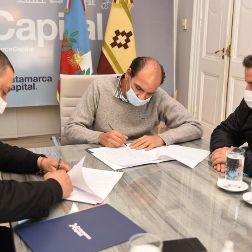 Provincia y Municipio trabajan en la recuperación del arbolado urbano