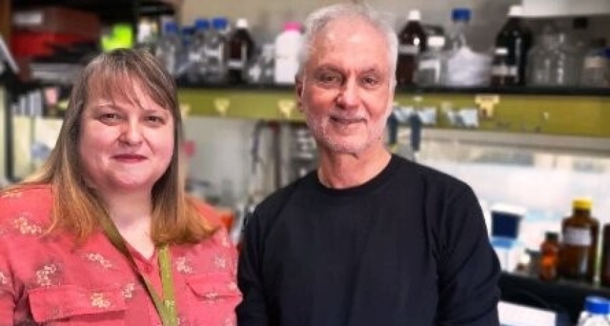 Científicos argentinos estudian un fármaco clave para cánceres ginecológicos