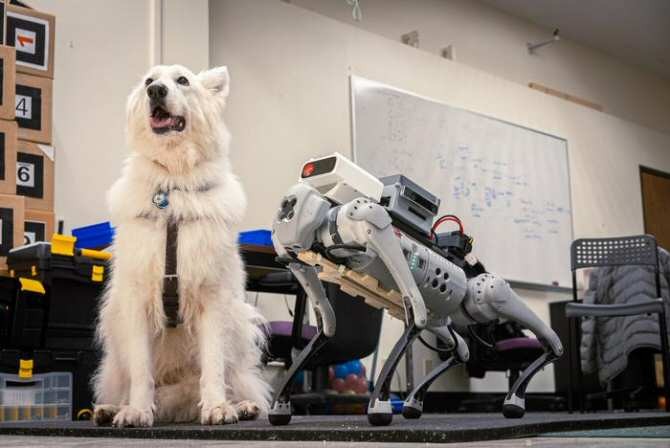¿Robots o perros para guiar a las personas invidentes?