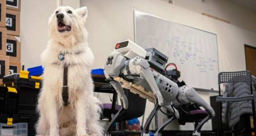 ¿Robots o perros para guiar a las personas invidentes?