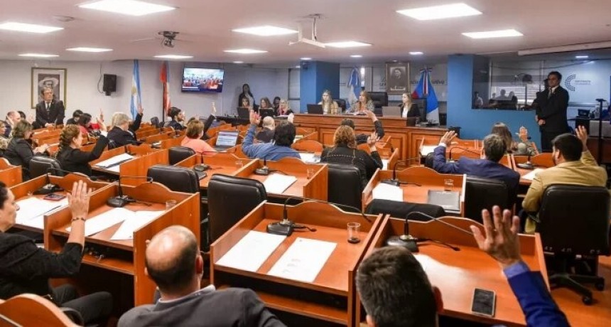 Malestar de Carrizo por el veto de una ley: 