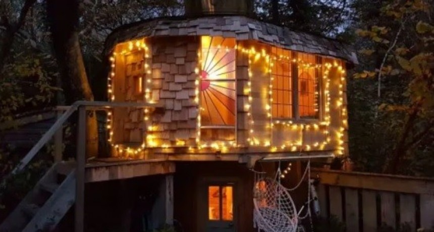 Construyó una casa en el árbol con material reciclado