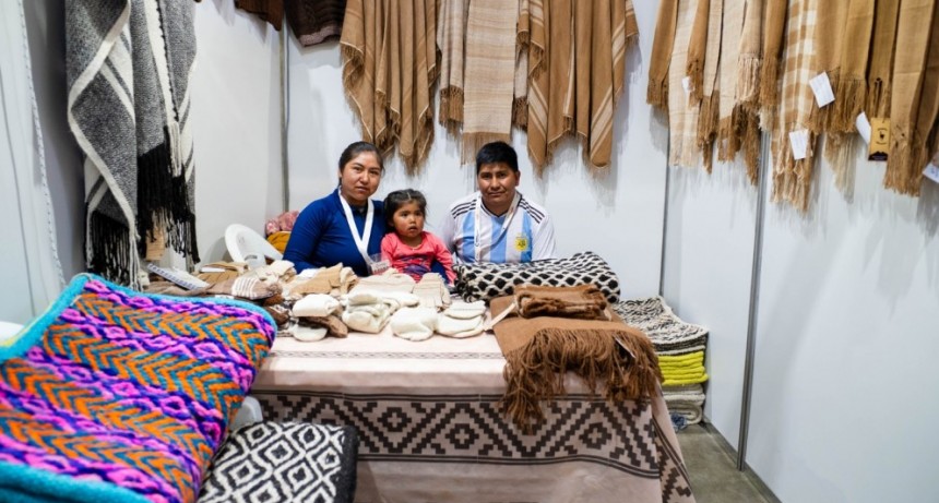 El Tesoro Textil de Catamarca: La Fina Fibra de Vicuña y sus Artesanos