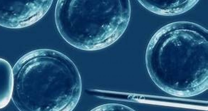 Avance Médico Revolucionario: Biopsias sin Dolor gracias a Nanoagujas