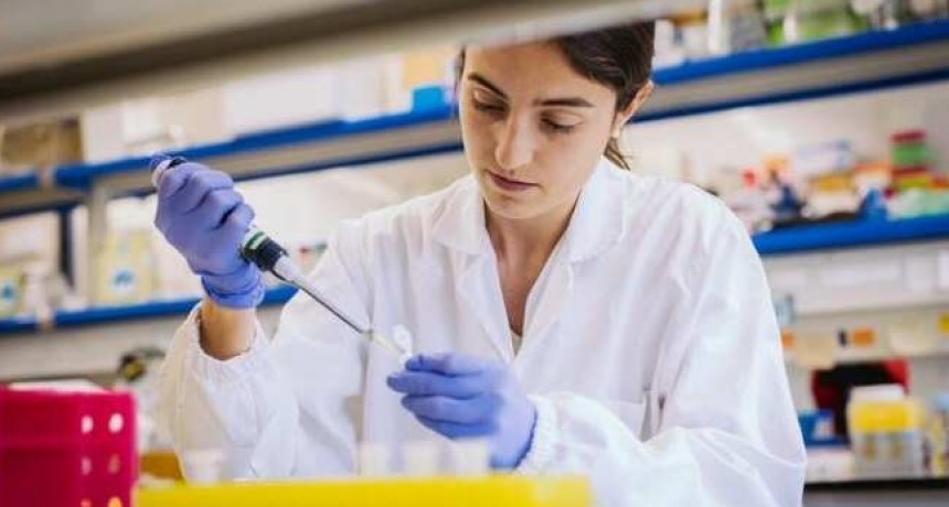 Identifican las regiones del ADN y los genes clave que activan la regeneración del hígado