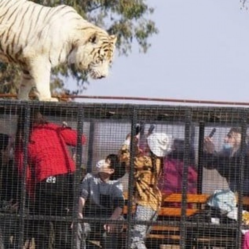 TRAGEDIA: MURIÓ EN UN ZOO