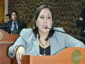 Piden derogar una ley electoral 