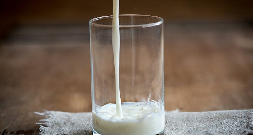 Desarrollarán en la Argentina una leche para las personas con alergia a la proteína vacuna