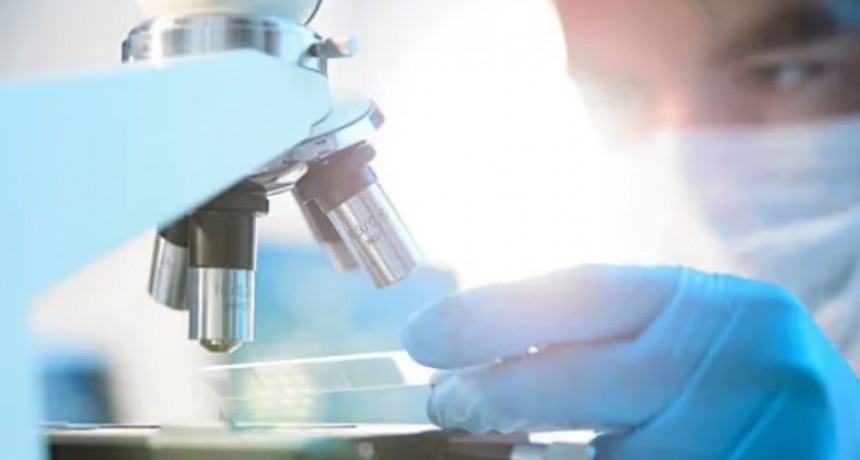 Descubren un mecanismo para combatir el cáncer