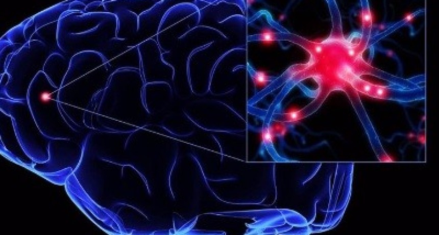 La Inteligencia Artificial redujo el avance del Parkinson