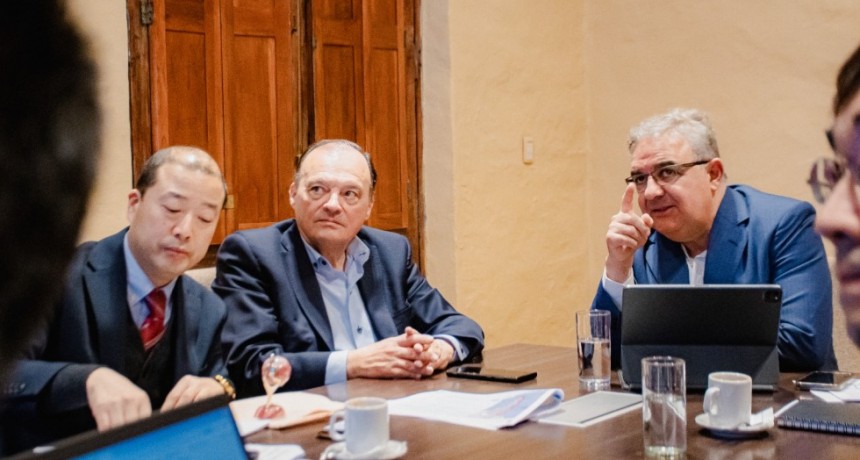 Entidades y empresas japonesas analizan posibles inversiones en Catamarca