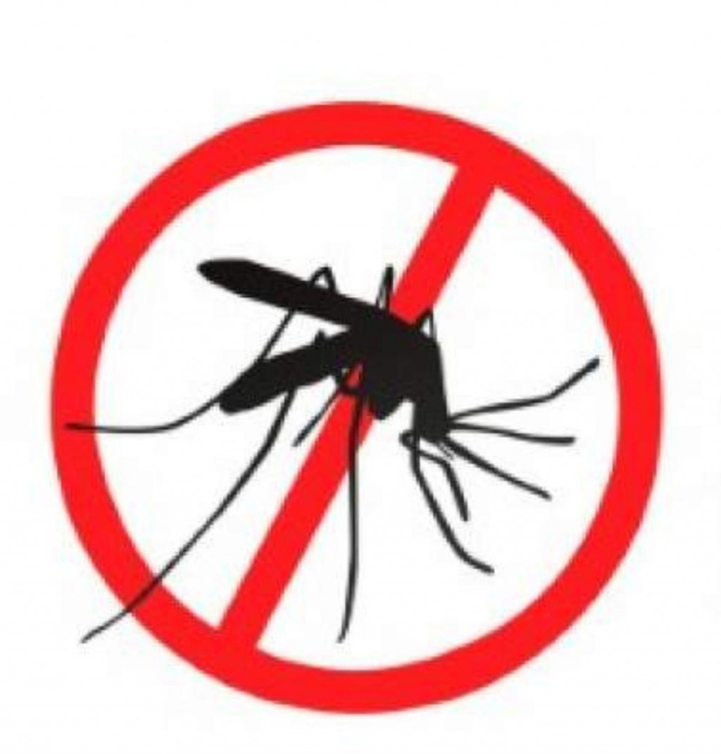 Intensifican los operativos de prevención contra el dengue en la capital catamarqueña